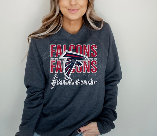 Falcons spirit
